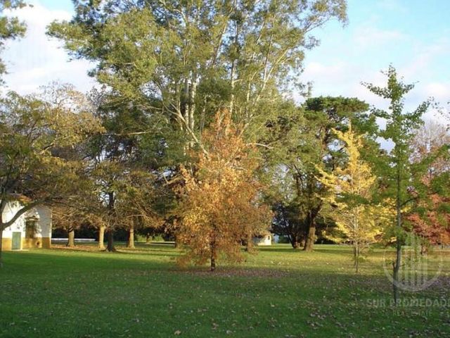 place photo 28