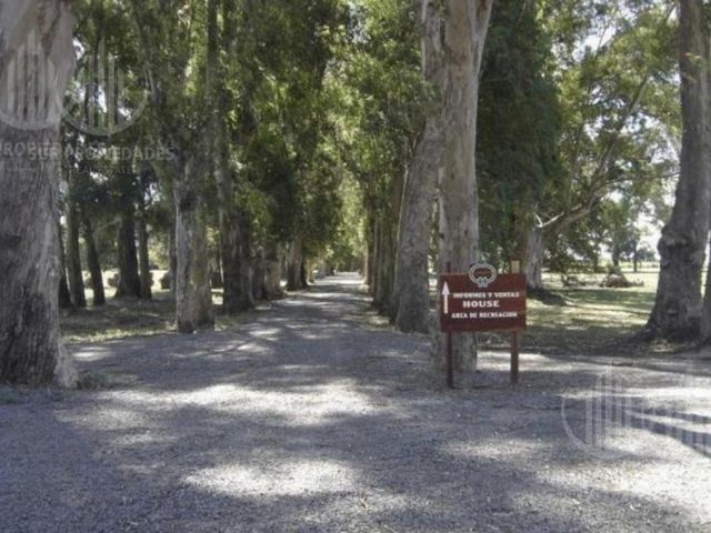 place photo 27