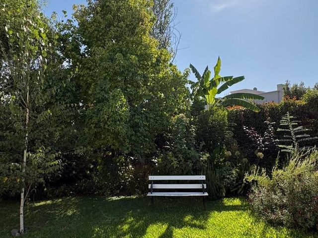 place photo 45