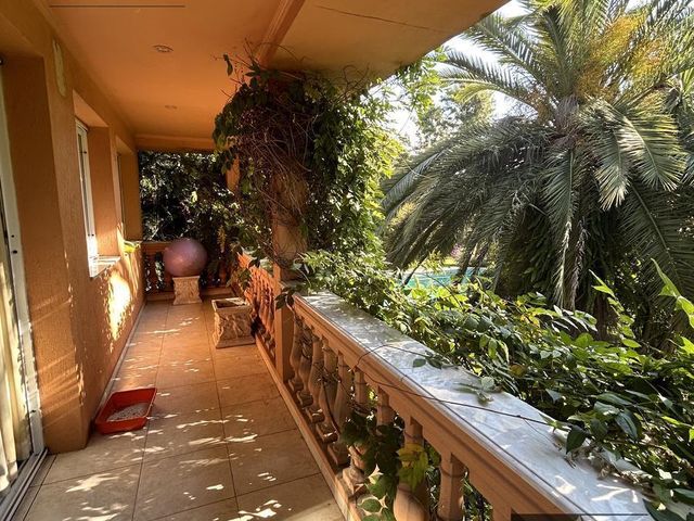 place photo 32