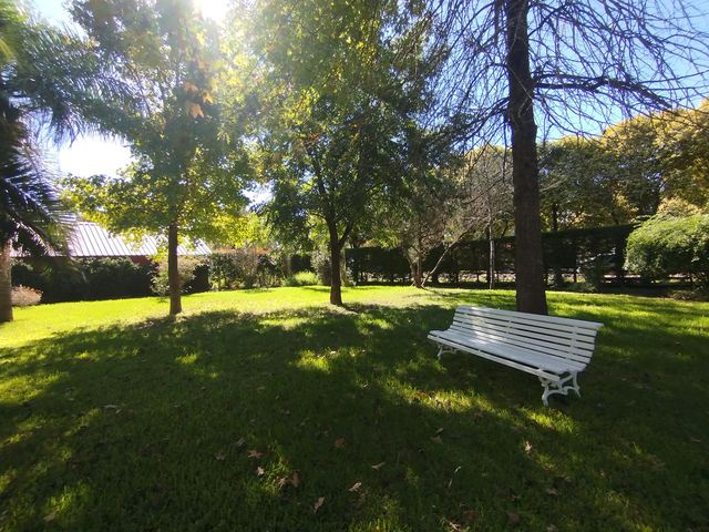 place photo 36