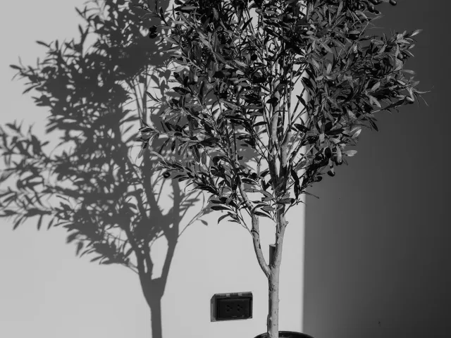 place photo 67