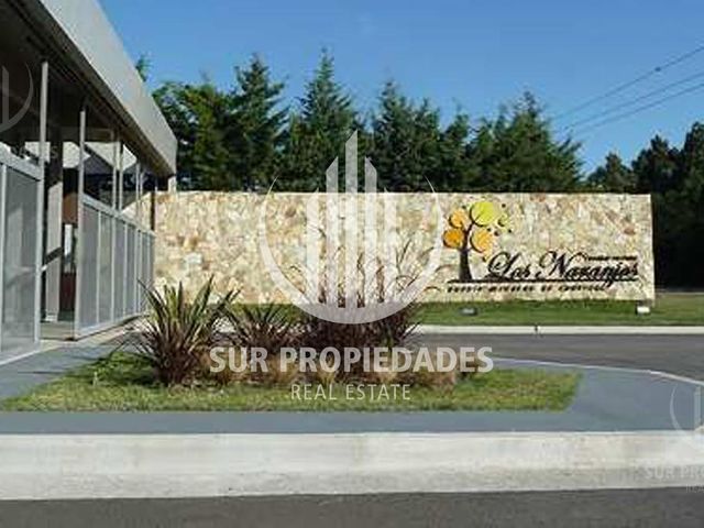 place photo 52