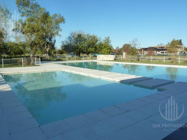 place photo 57