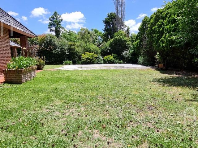 place photo 30