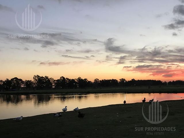 place photo 42