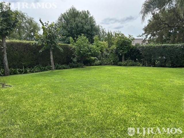 place photo 61