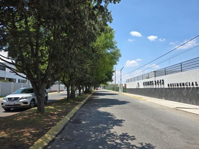 place photo 26