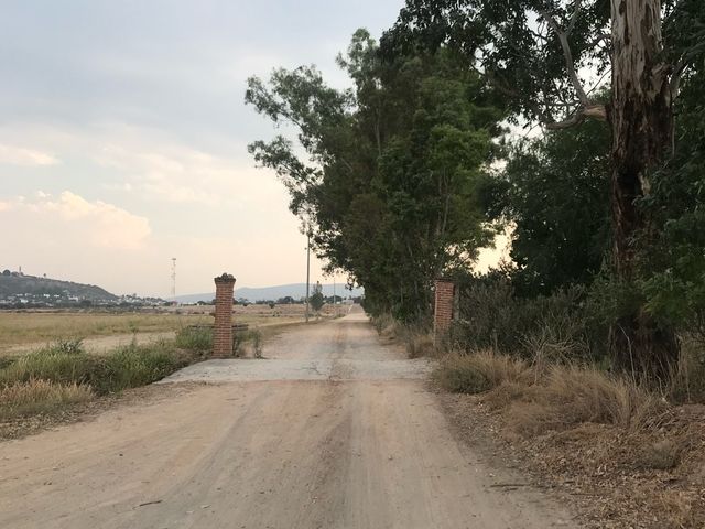 place photo 10