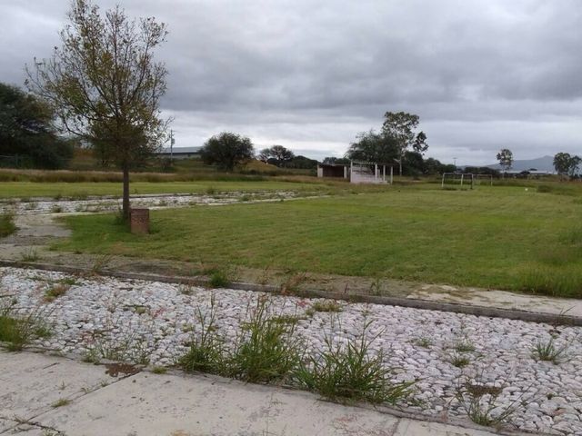 place photo 17