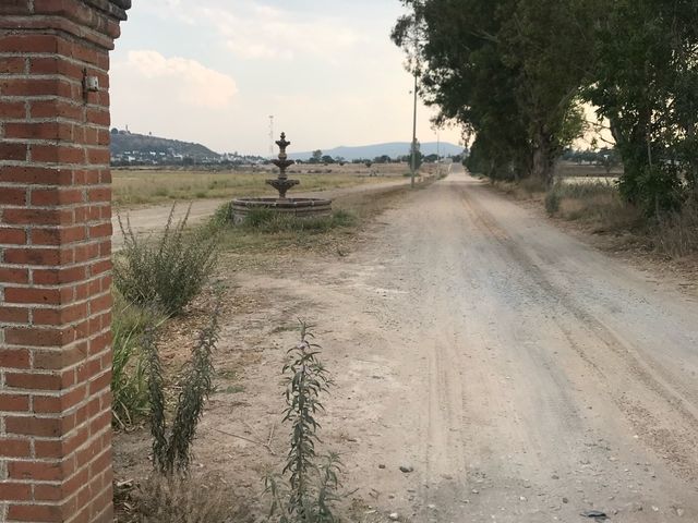 place photo 33