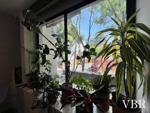place photo 37