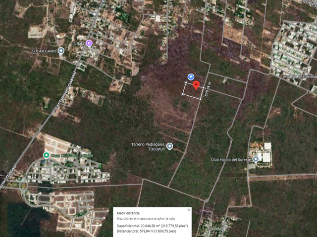 place photo 5