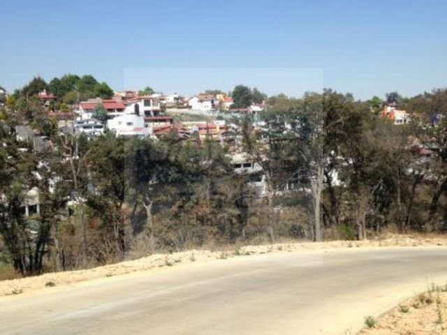 place photo 22