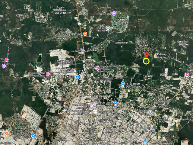 place photo 9