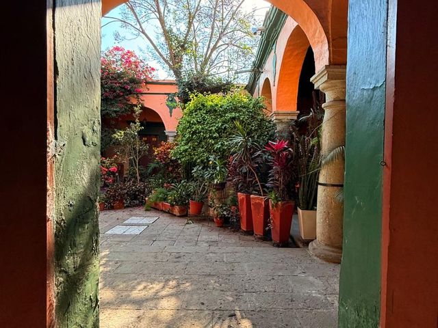place photo 30