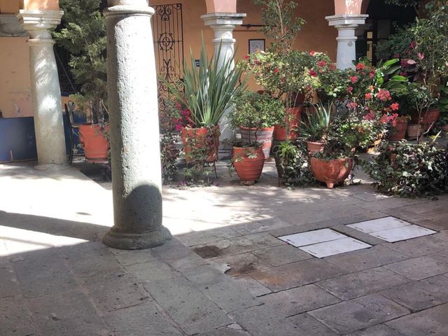 place photo 21
