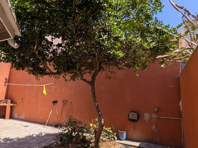 place photo 56