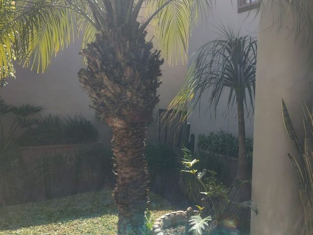 place photo 34