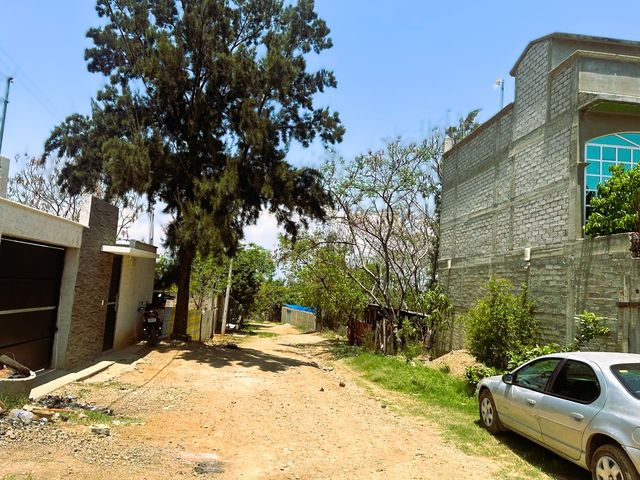 place photo 14