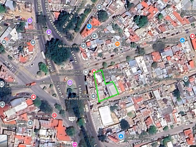 place photo 7