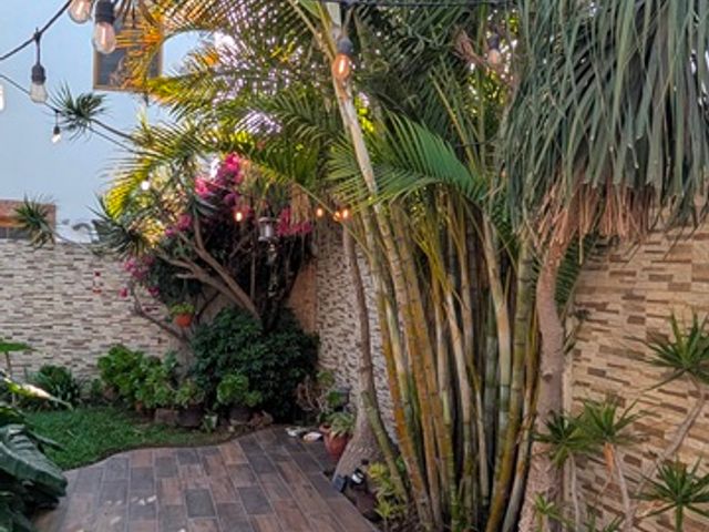 place photo 44