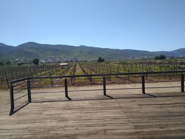 place photo 27