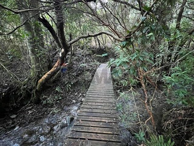 place photo 69