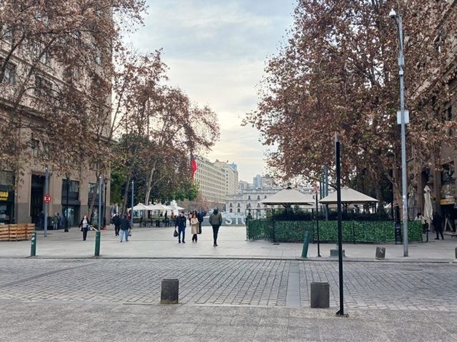 place photo 24