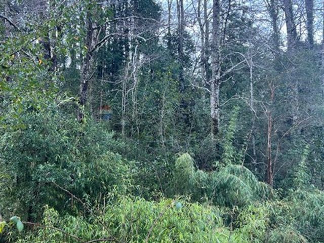 place photo 83