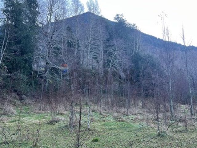 place photo 75