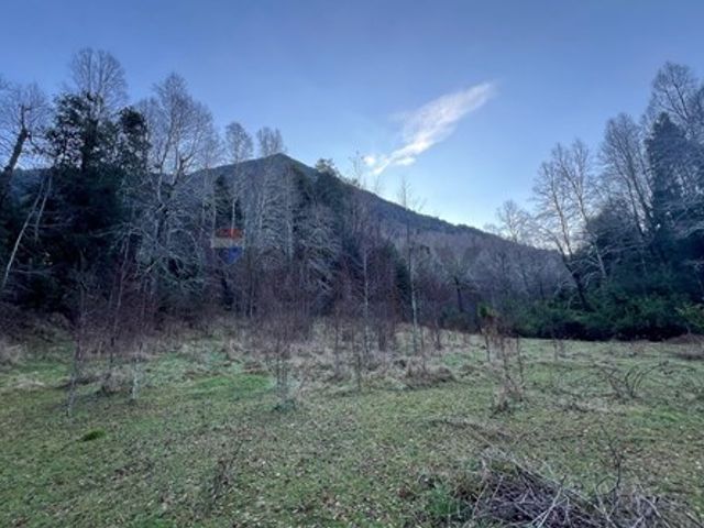 place photo 76