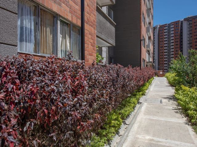 place photo 21