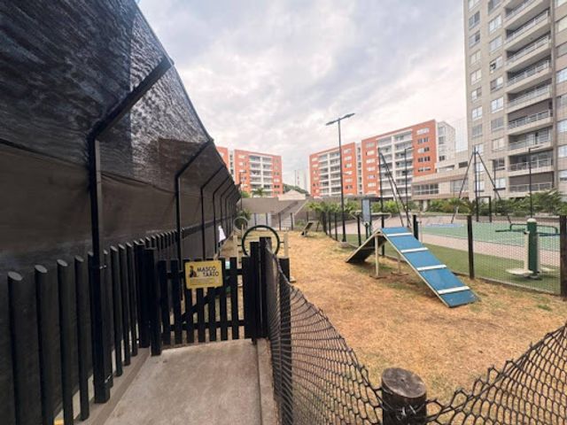 place photo 22