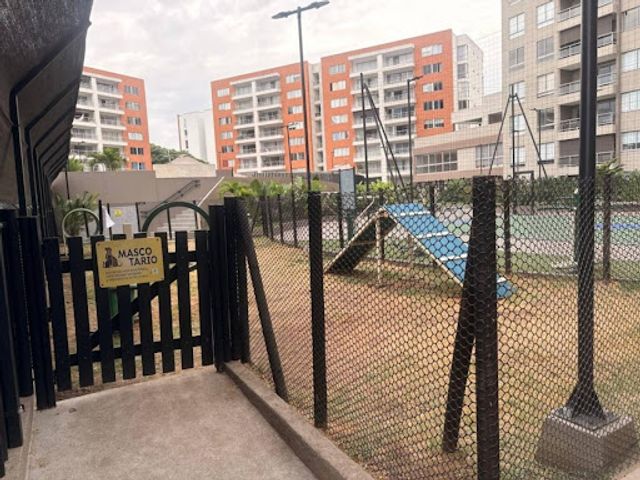place photo 21
