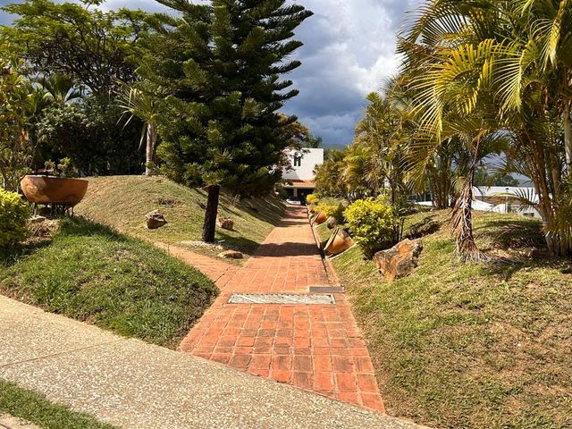 place photo 42