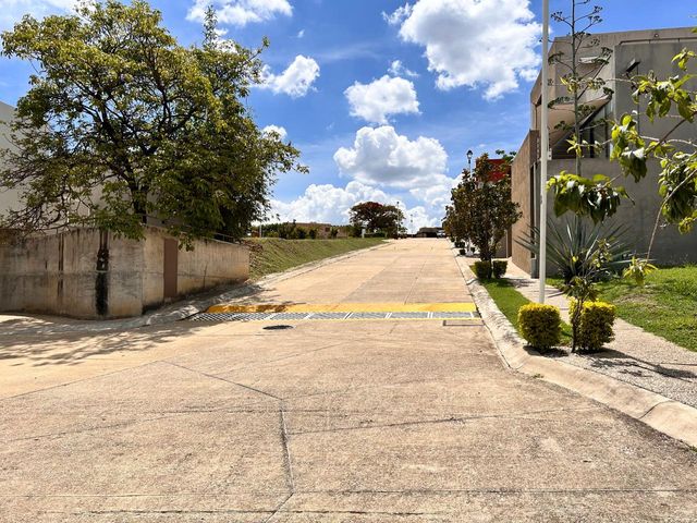 place photo 41