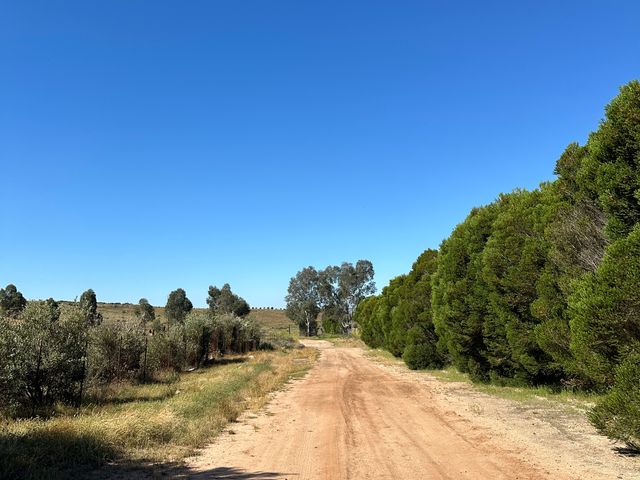 place photo 25