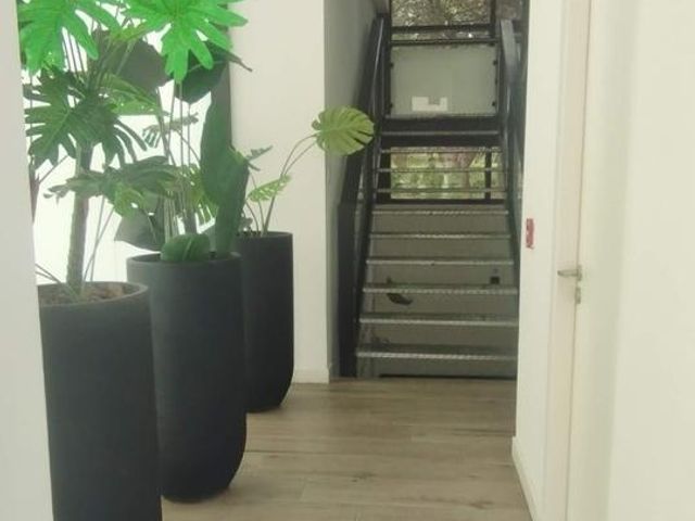 place photo 41