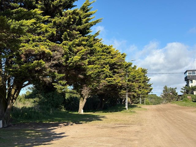 place photo 48