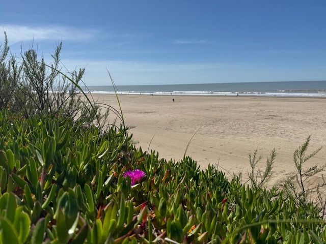 place photo 45