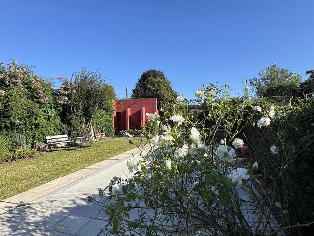 place photo 41