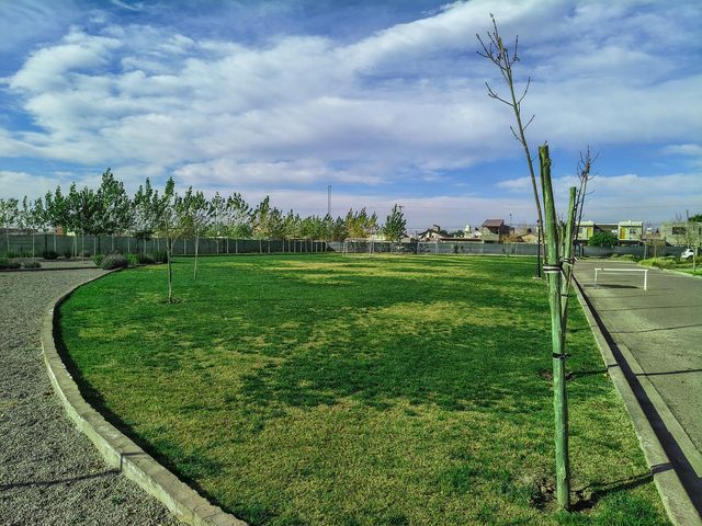 place photo 24