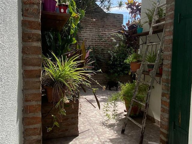 place photo 28