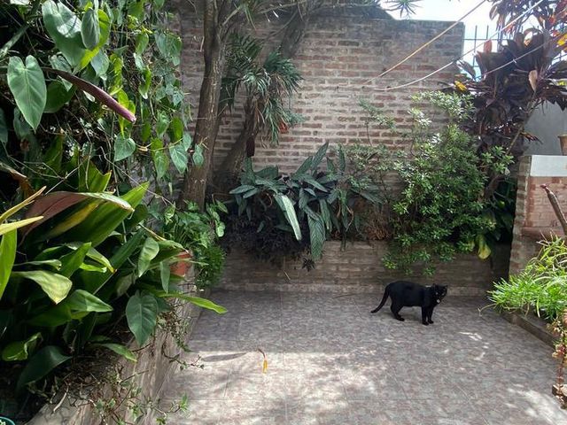 place photo 29