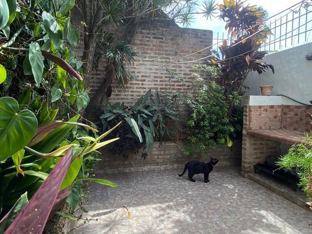 place photo 30