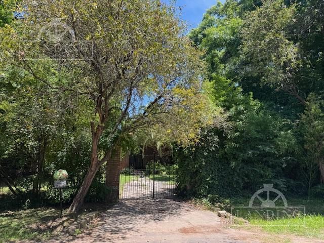 place photo 34