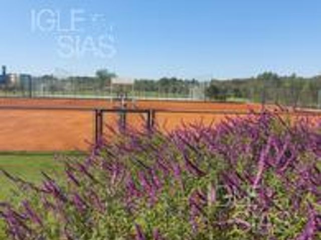 place photo 43