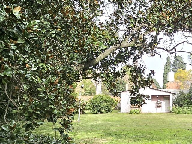 place photo 40