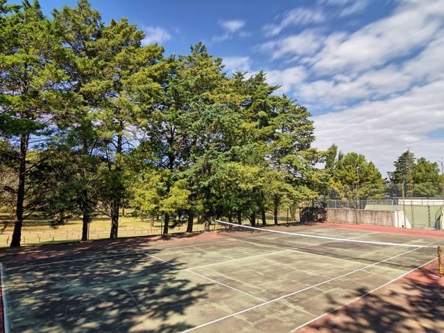 place photo 12